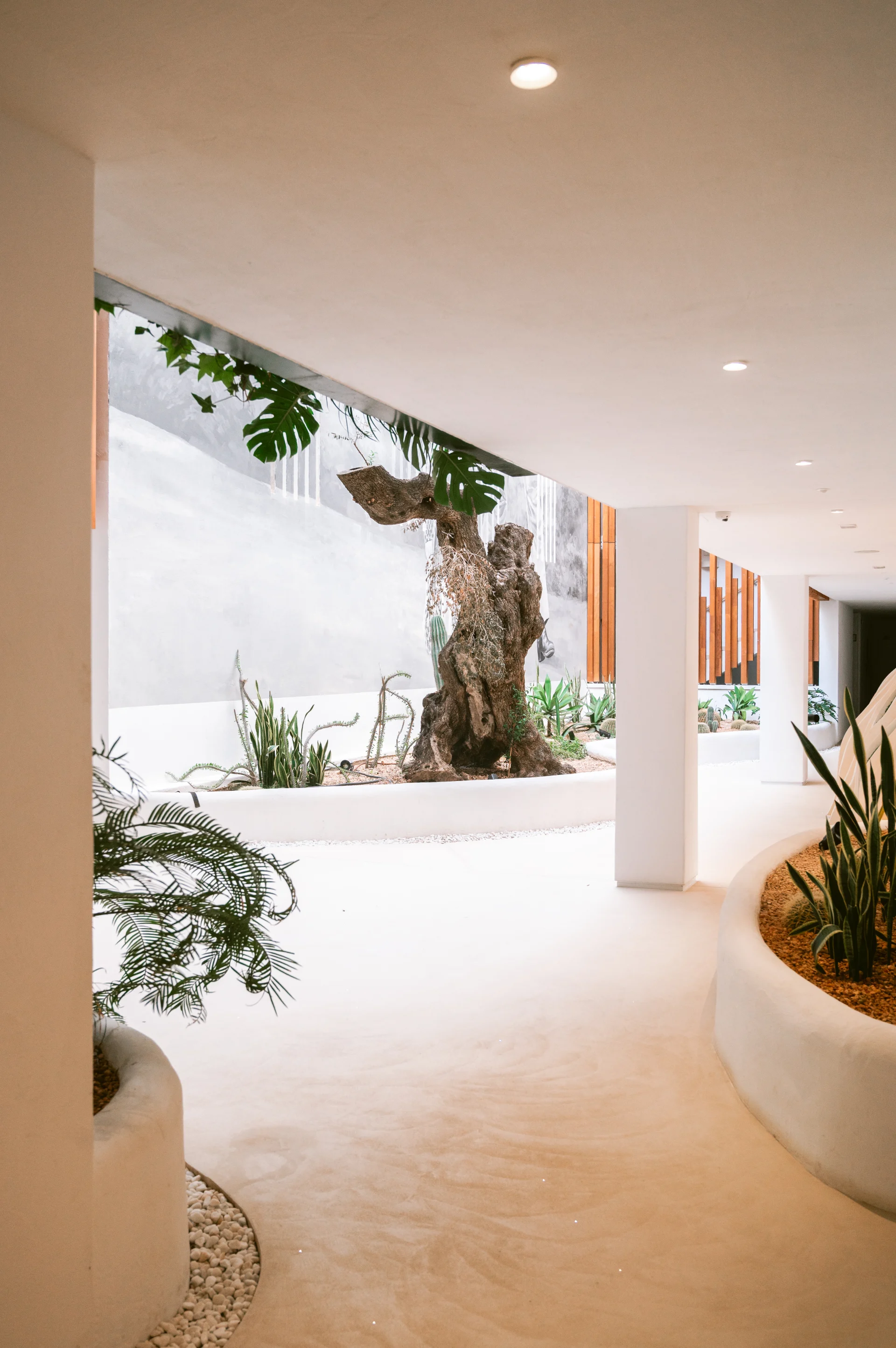 Roy Lichtenstein Suite – Hippiements: diseño, confort y estilo de vida en Ibiza – foto 23